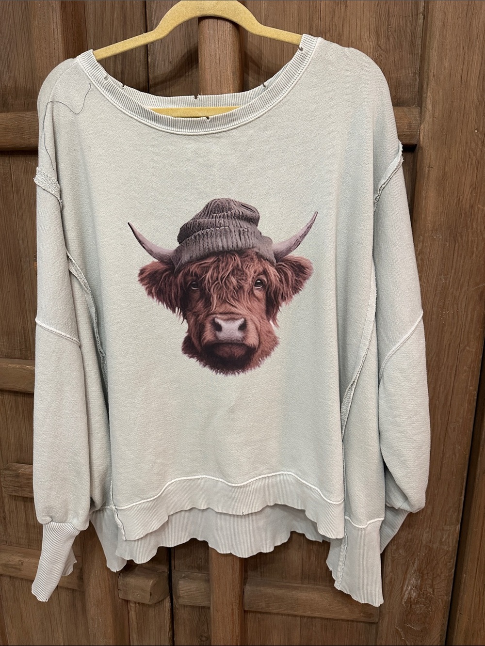 We the free mint Graphic Sweatshirt with Highland Cow free people custom